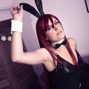 Erza Scarlet Rabbit